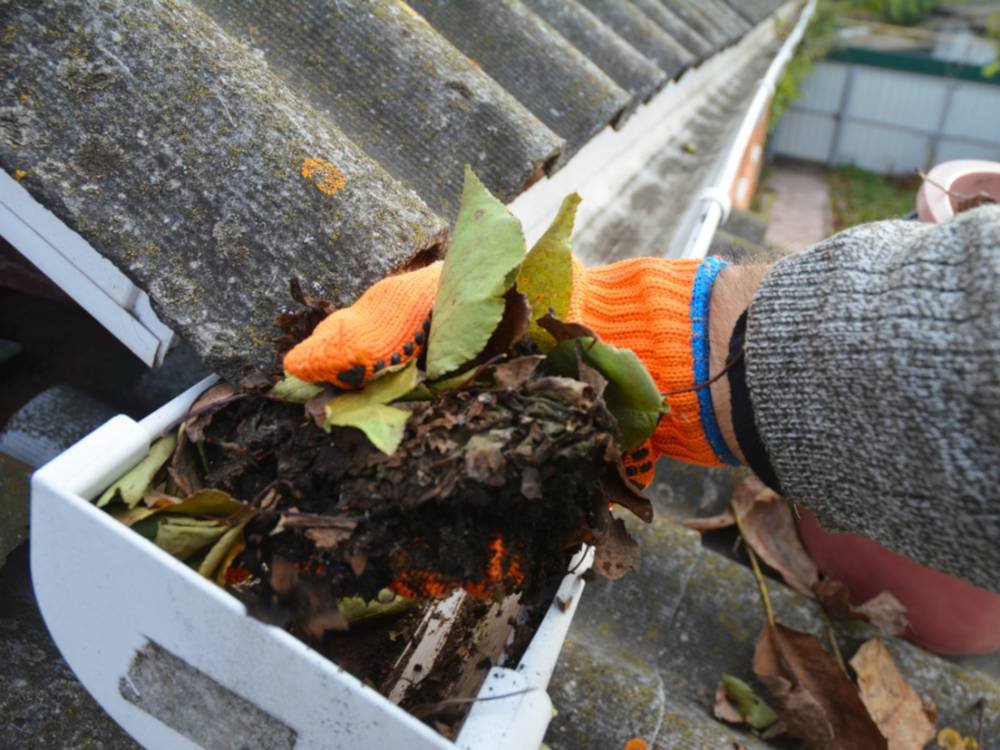 gutter cleaning