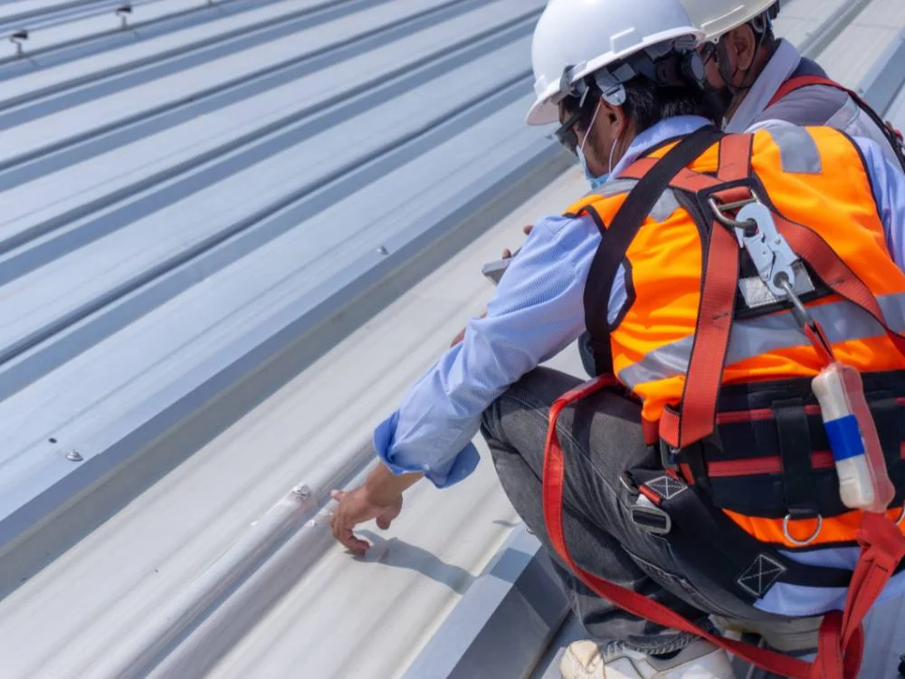 Local Roofing Contractors in Balnarring Beach